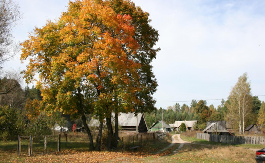 21_dubininkas foto brolai čer.jpg